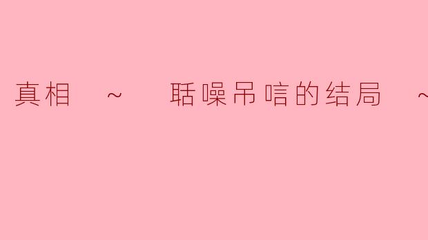 真相 ~ 聒噪吊唁的结局 ~